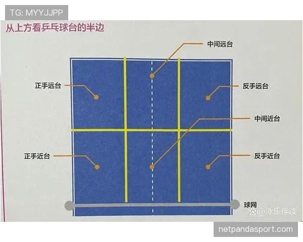 发球干扰规则解析：什么行为算违例及判罚标准